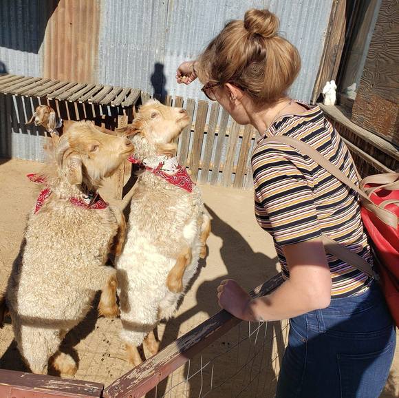 Meet your Posher, Caitlin - Picture 1 of 1